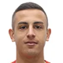 Bartuğ Elmaz — cầu thủ, Fenerbahçe