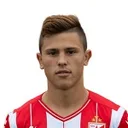 Martin Novaković — cầu thủ, Radnik Surdulica