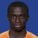 Solomon Bonnah — cầu thủ, Vitesse