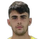 Niklas Hedl — cầu thủ, Rapid Vienna