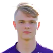 Joel Laitinen — cầu thủ, Tampere United