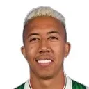 Saldanha — cầu thủ, Al-Wasl FC