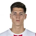 Sava-Arangel Čestić — cầu thủ, FC Voluntari