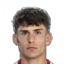 Tobias Hedl — cầu thủ, Zulte Waregem