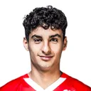Martin Adeline — cầu thủ, Hamburger SV