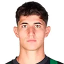 Edoardo Iannoni — cầu thủ, Hellas Verona