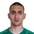 N. Karabashev