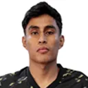 Fernando González — cầu thủ, Dorados