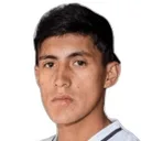 Harol Salgado — cầu thủ, Universidad de Concepcion