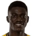 N. Djiga — cầu thủ, Wolves