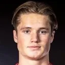 Sebastian Karlsson Grach — cầu thủ, Den Bosch