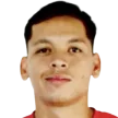 Elías Iván Ayala Bernal — cầu thủ, Guillermo Brown