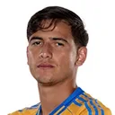 Rafael Guerrero — cầu thủ, Tigres UANL