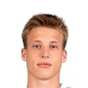 Dominic Vincze — cầu thủ, TSV Hartberg