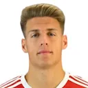 Nimród Baranyai — cầu thủ, Tiszakecske FC