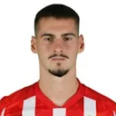 Ognjen Mimović — cầu thủ, Fenerbahçe
