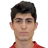 L. Bashoyan