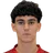 H. Sargsyan
