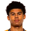 Fabian Salmon — cầu thủ, Wolves U18