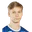 V. Nikulainen