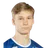 V. Nikulainen
