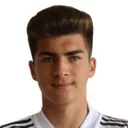 Uroš Miladinović — cầu thủ, Cukaricki
