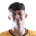 Sebastian Palmer-Houlden — cầu thủ, Motherwell