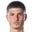 N. Zecevic