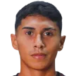 Dariel Castrillo — cầu thủ, Puntarenas FC