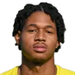 T. Dugard — cầu thủ, Nantes U19