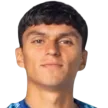 Juan Garrido — cầu thủ, Deportes Temuco