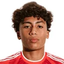 Julian Hall — cầu thủ, New York Red Bulls