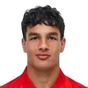 Adem Avdić — cầu thủ, FK Crvena Zvezda