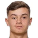 Fred Bozicevic — cầu thủ, IFK Varnamo