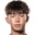 M. H. Gao