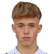 Christoph Breinesberger — cầu thủ, LASK Juniors