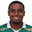 Rafael Coutinho — cầu thủ, Palmeiras