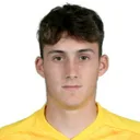 Davide Bifulco — cầu thủ, Vibonese