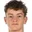 J. Flies