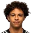 Ryan German — cầu thủ, LASK Juniors