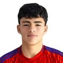 Ian Alegria — cầu thủ, Palestino