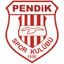 Logo Pendikspor