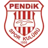 Logo Pendikspor