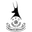 Logo Birmingham City