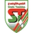 Logo Stade Tunisien
