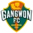 Logo Gangwon FC