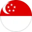 Logo Đội tuyển Singapore