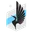 Logo Minnesota United