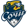 Logo FC Sochi