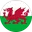 Logo Wales U19